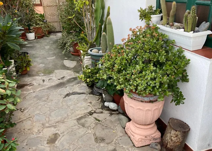 Casa Isabel *